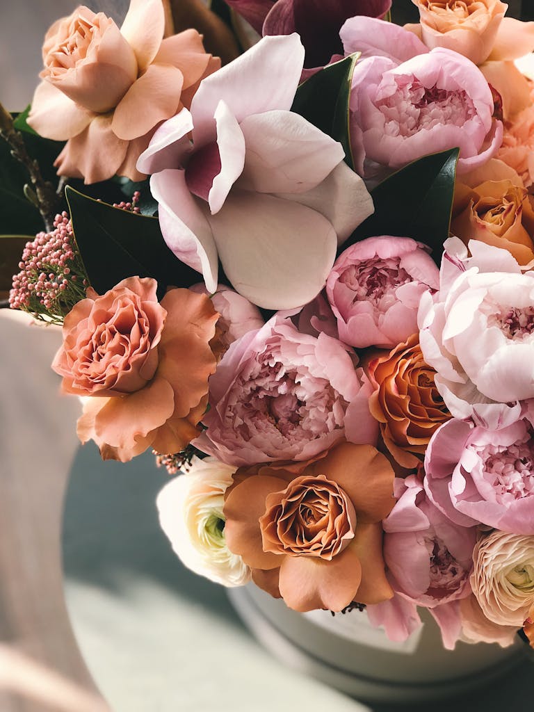 White, Brown, and Purple Petaled Flowers